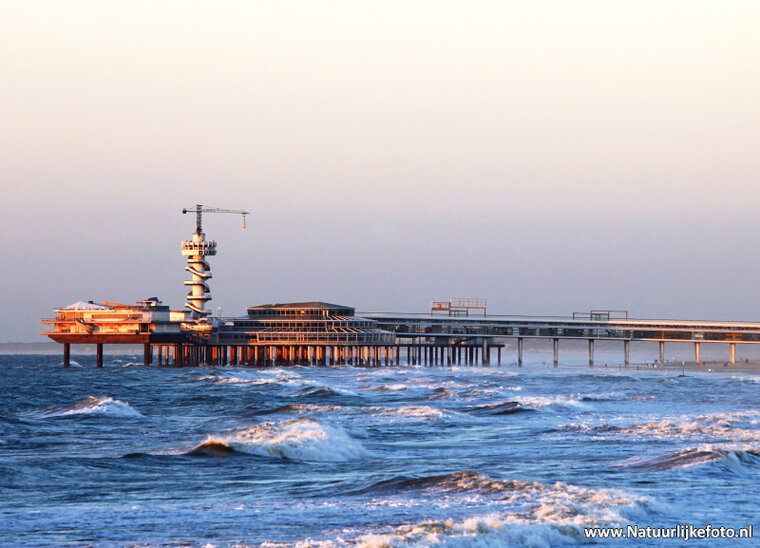 Scheveningen Postkarte (0132)