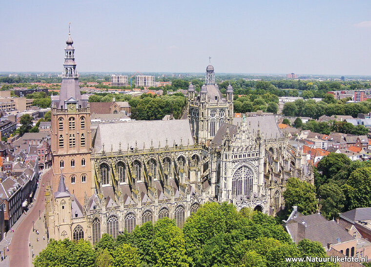 Sint Janskathedraal Postkarte 0181)