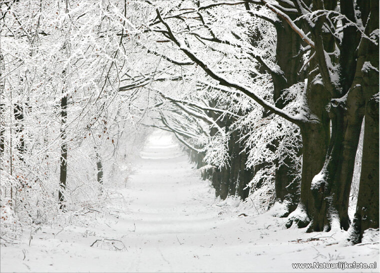 Winter lane Postkarte (0073)
