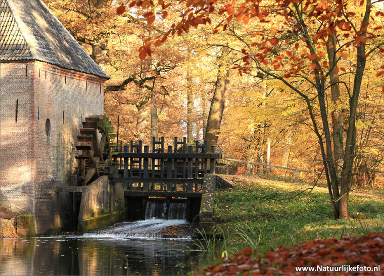 Wassermühle Postkarte - Hackfort im Herbst (0079)