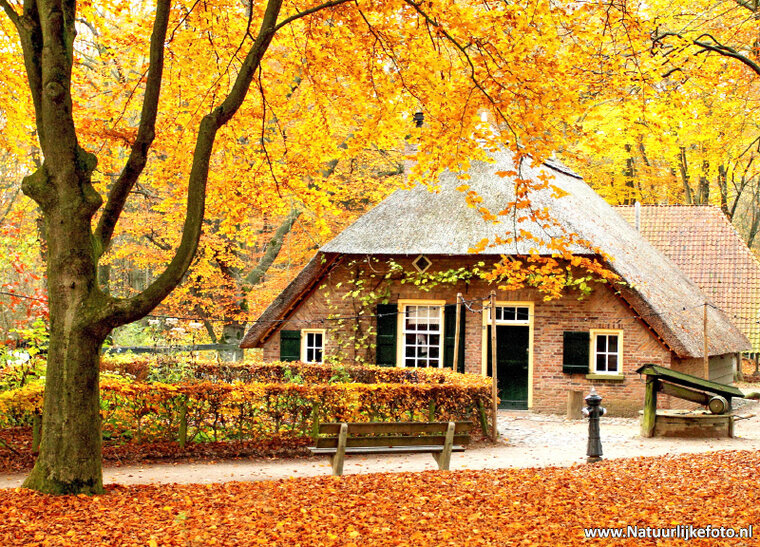 kleine Farm in Herbst Postkarte (0082)