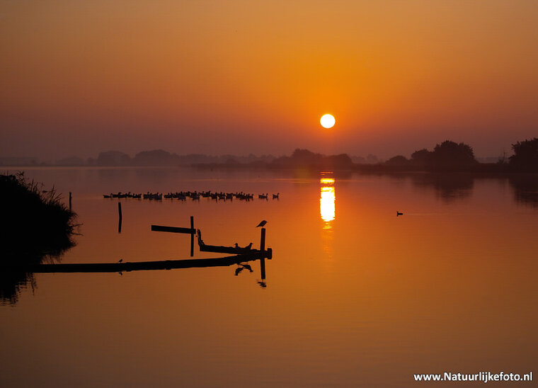 Sonnenaufgang Leekstermeer Postkarte (0099)