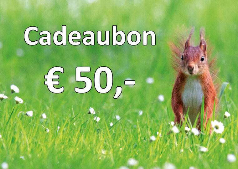 Geschenkgutschein für Karten und Stickerbögen 50,00 € (KC050)