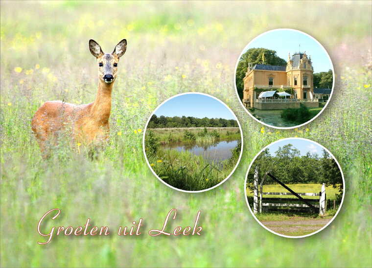 Postkarte Leek 001