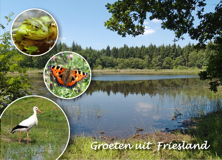Postkarte Friesland 001