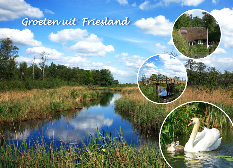 Postkarte Friesland 005