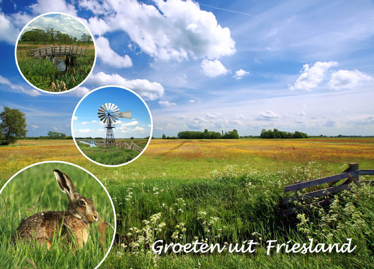Postkarte Friesland 006