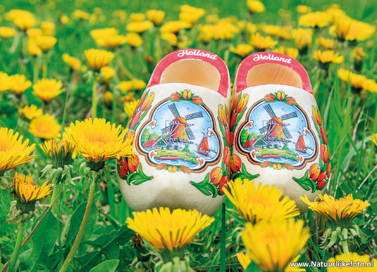Postkarte Holzschuhe mit Löwenzahn (0905)