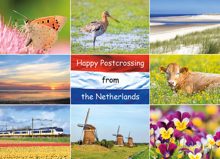 Postkarte Happy Postcrossing (HP002)