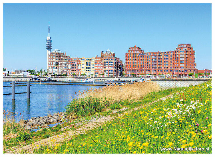 Lelystad Postkarte - Bataviahaven (C131)
