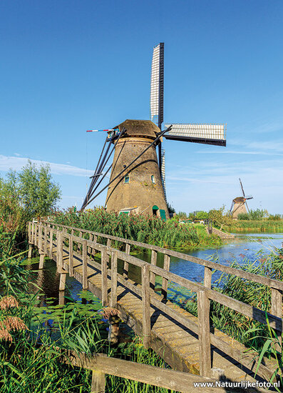 Postkarte Nederwaard MĂĽhle Nr.5 - Welterbe (0906)
