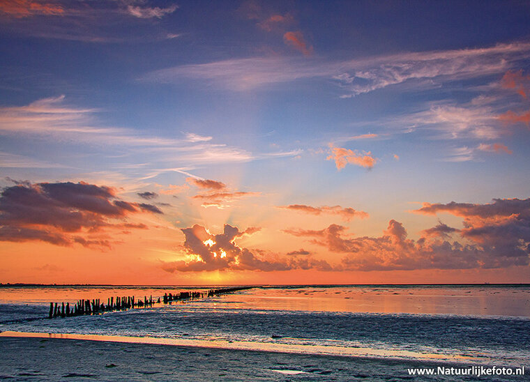 Sonnenaufgang Wattenmeer Postkarte (0909)