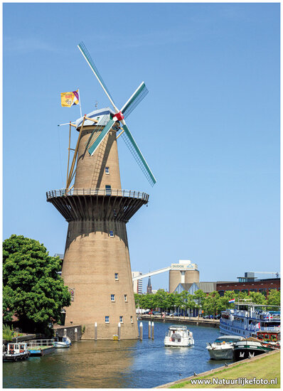 Mühle de Nolet Schiedam Postkarte (C141)