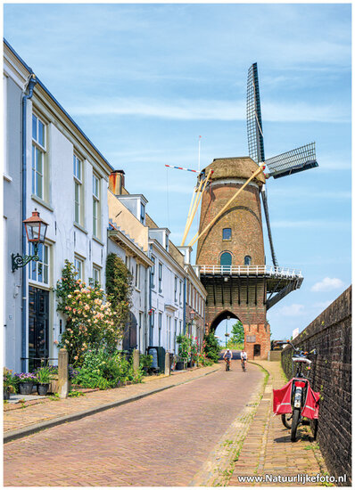 Wijk bij Duurstede Mühle Postkarte (C140)