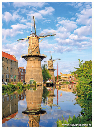 MĂĽhle Schiedam Postkarte (C138)