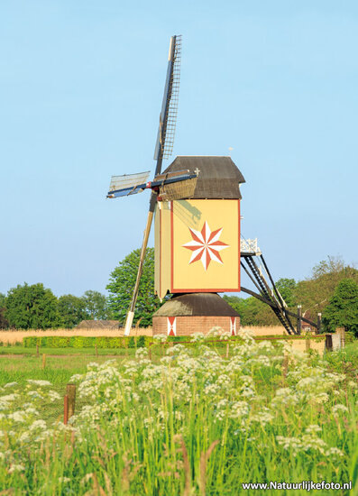Postkarten Nord-Brabant - 10 Postkarten mit Nord-Brabant Motive (nr. 12)