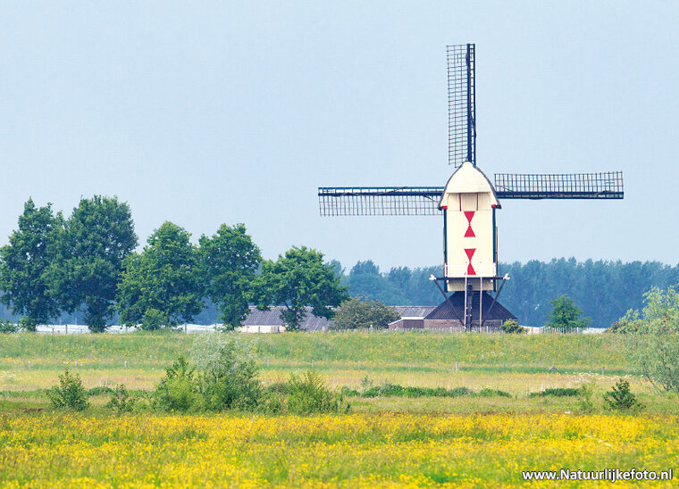 Postkarten Gelderland - 9 Postkarten mit Gelderland Motive (nr. 13)