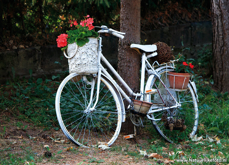 Postkarten Fahrrad - 10 Postkarten mit Fahrrad Motive (nr. 10)