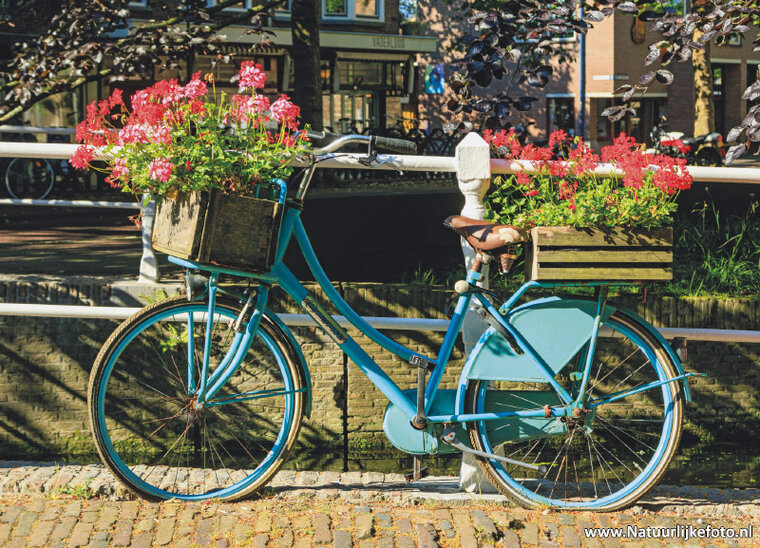 Postkarten Fahrrad - 10 Postkarten mit Fahrrad Motive (nr. 10)