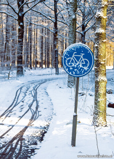 Postkarten Fahrrad - 10 Postkarten mit Fahrrad Motive (nr. 10)