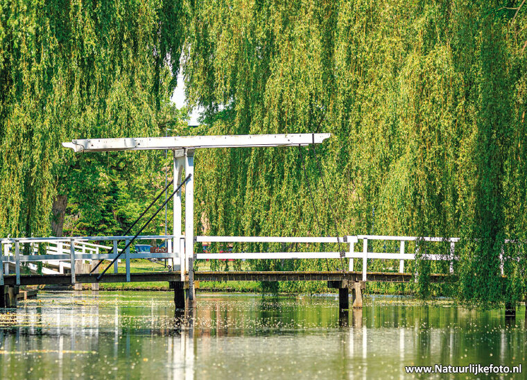 Postkarten Gelderland - 10 Postkarten mit Gelderland Motive (nr. 18)