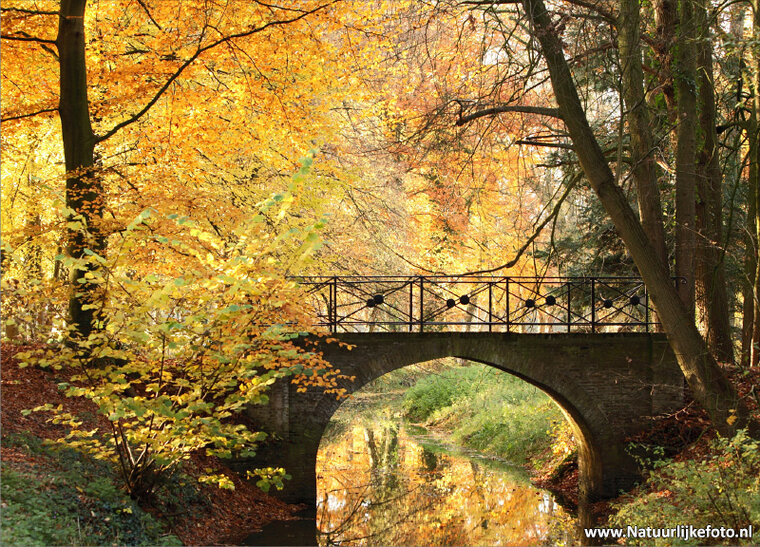 Herbst Postkarten Set - 15 Postkarten mit Herbstmotive (nr. 020)