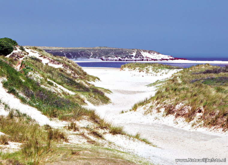 Postkartenset Strand und Meer - Set mit 12 Postkarten (nr. 40)