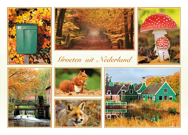 Postkarten Set Groeten uit Nederland - Set mit 9 Postkarten (nr. 100)