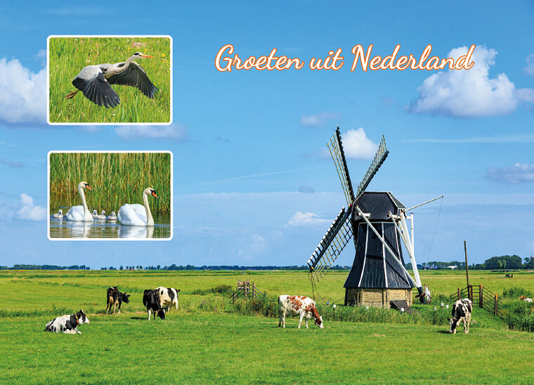 Postkarte groeten uit Nederland (AH0041)