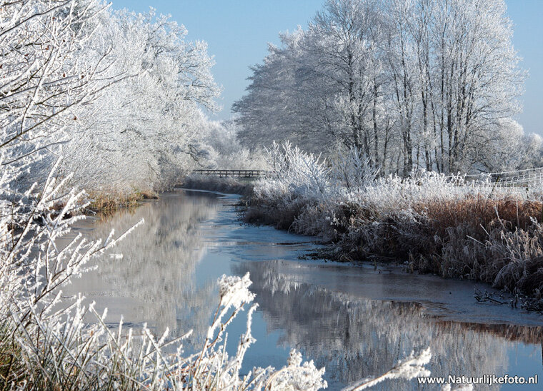 Postkarten Set Winter - 12 Postkarten mit Wintermotive (nr. 088)