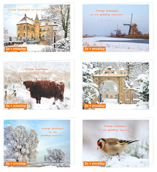 Luxuriöses Weihnachtskartenset (set nr. 104)