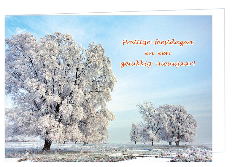 Luxuriöses Weihnachtskartenset (set nr. 104)