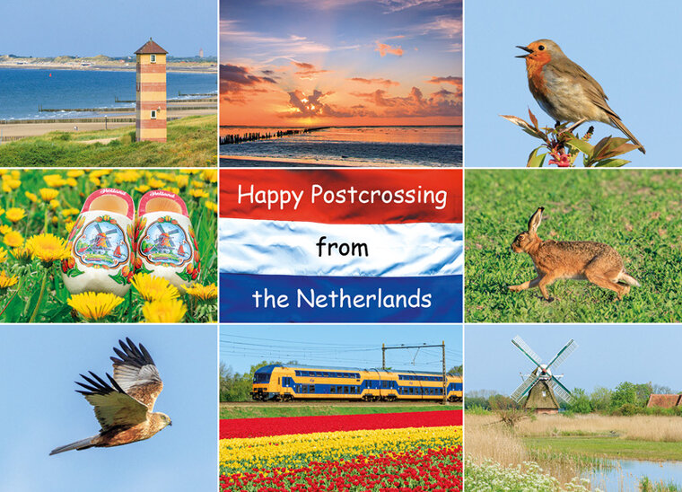 Postkarte Happy Postcrossing (HP005)