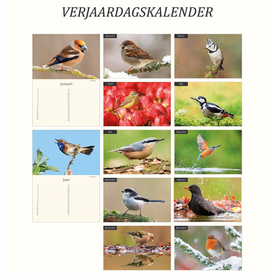 Geburtstagskalender Vögel