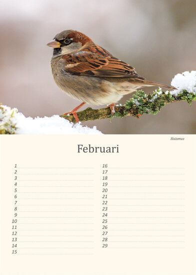Geburtstagskalender Vögel