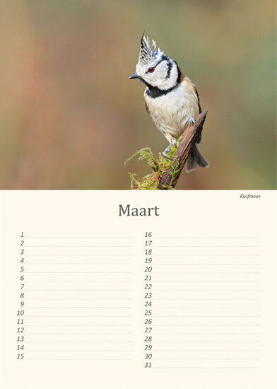 Geburtstagskalender Vögel