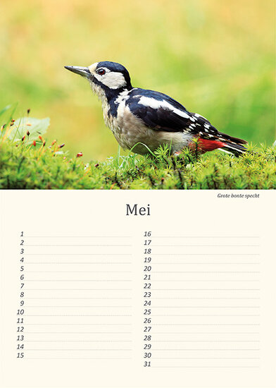 Geburtstagskalender Vögel