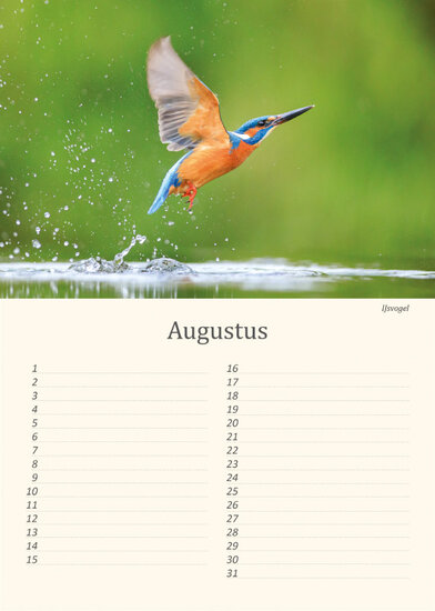 Geburtstagskalender Vögel