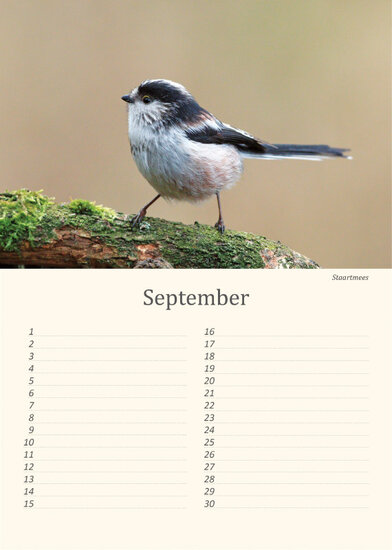 Geburtstagskalender Vögel