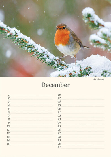 Geburtstagskalender Vögel