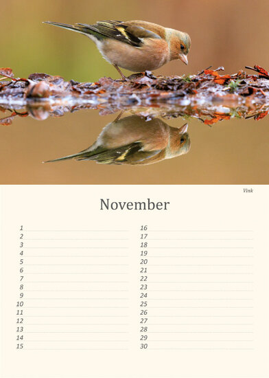 Geburtstagskalender Vögel