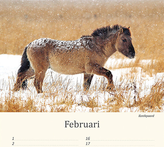 Geburtstagskalender Tiere