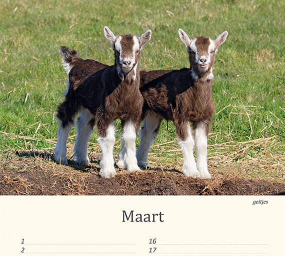Geburtstagskalender Tiere