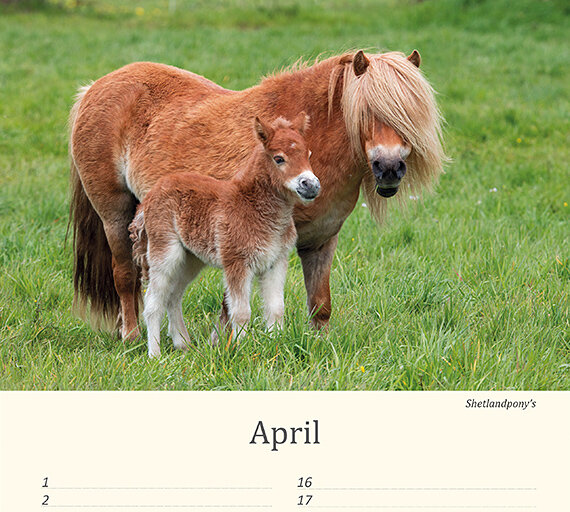 Geburtstagskalender Tiere