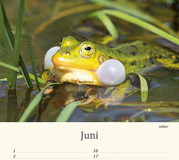 Geburtstagskalender Tiere