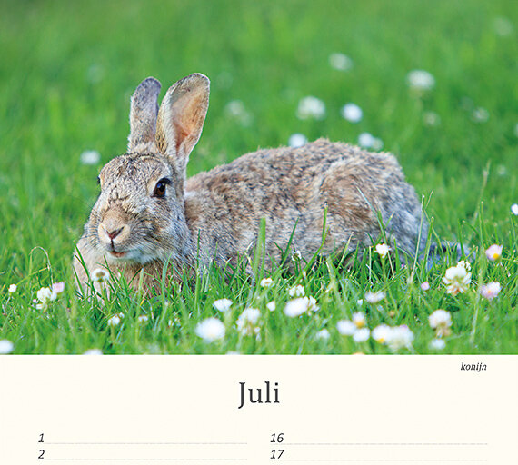 Geburtstagskalender Tiere