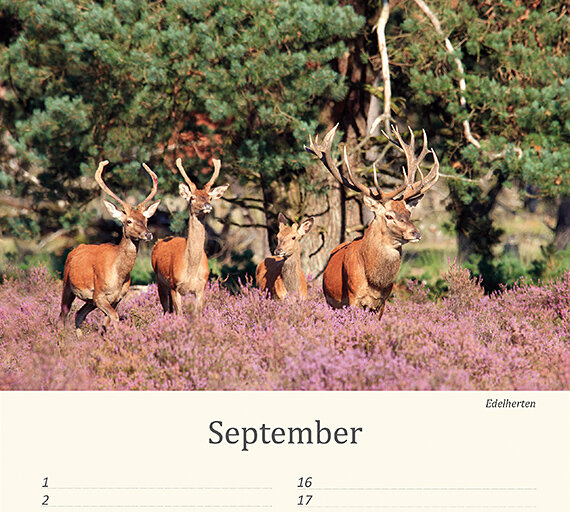 Geburtstagskalender Tiere