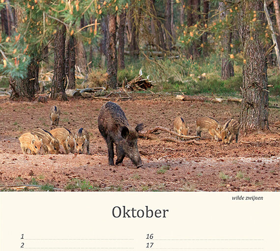 Geburtstagskalender Tiere