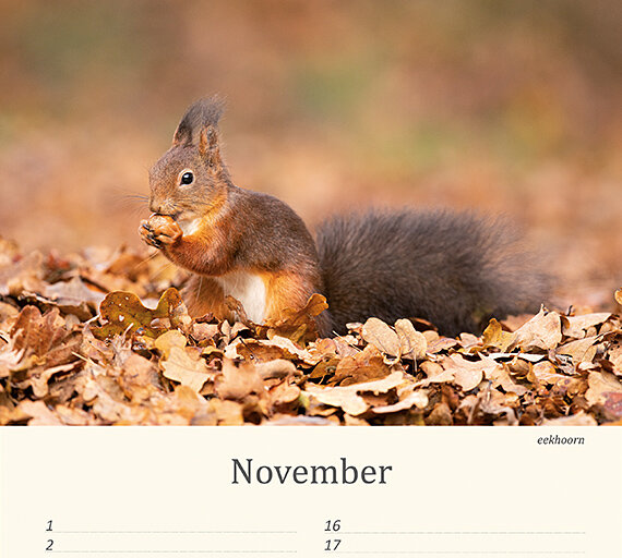 Geburtstagskalender Tiere