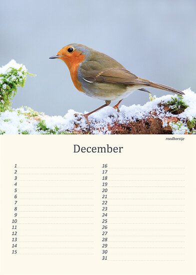 Geburtstagskalender Tiere